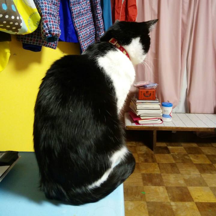 47aba677 6af2 49cc b7a4 5eeef608109f 1513597317580