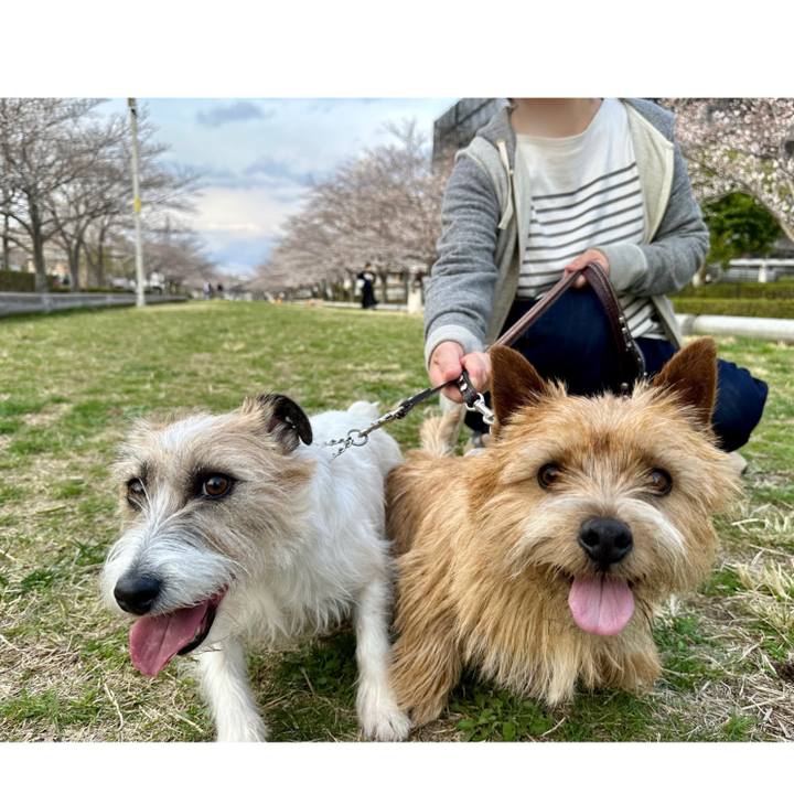 47abc1ba c589 43e1 b8c7 d14e56ea49fe 1743346742976