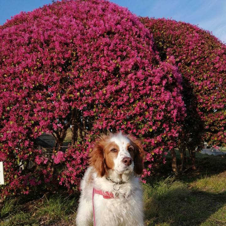 47abc3b7 b9b7 4bcd 854f bac709c19d67 1616576607474