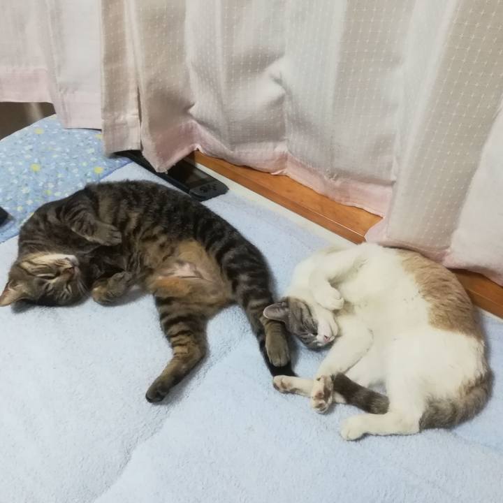 47abdc74 7aeb 4e7f a0d6 564ec16b4b47 1557572750129