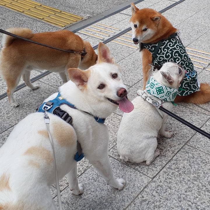 47ac02df 884c 4bf1 b65a b13ab9ae6c53 1658104621937