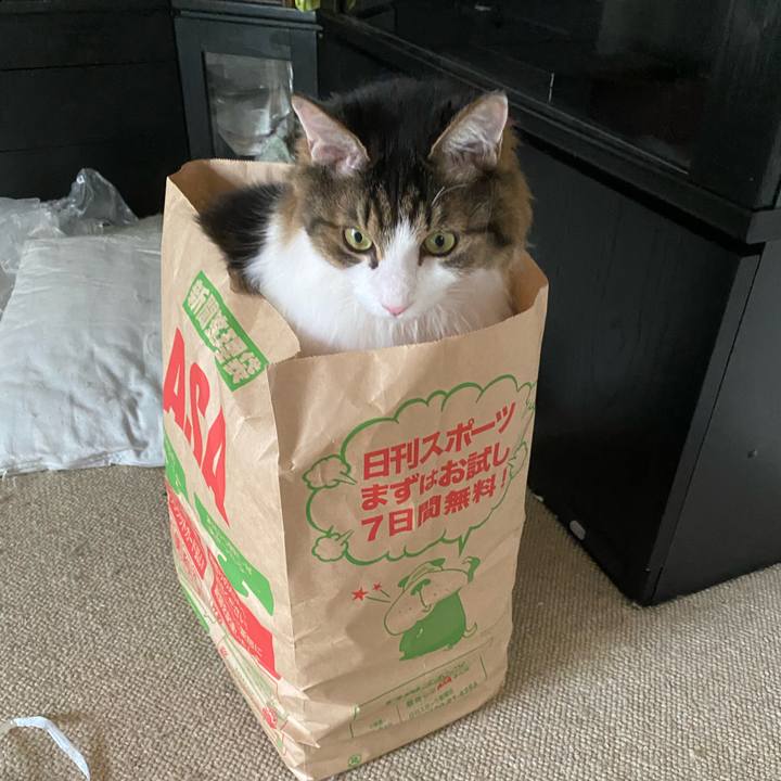 47ac1911 4f35 4dab a386 3b53a65bbdf8 1688868648009