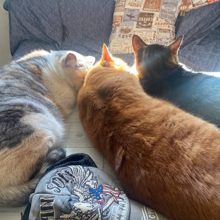 47ac3442 9bda 44c4 acf0 13b67ab581ae 1641003203226