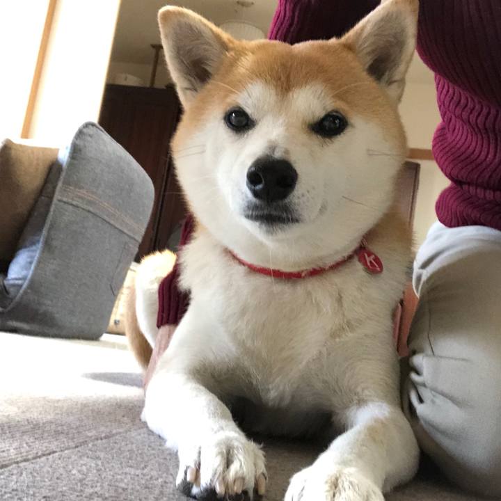 47ac44a1 d8bb 43c5 a575 0b69a7cc1d75 1578457021524