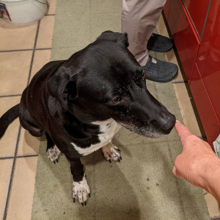 47ac4f23 d2f8 4cee a0bf 19e7b813737e 1695035015692