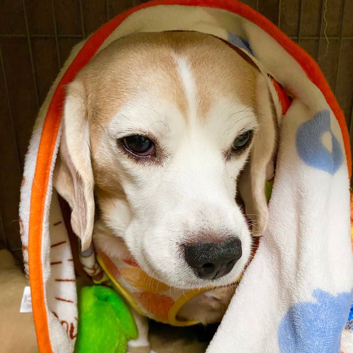 47ac6c37 f61a 49f7 bcb7 43992f0131a8 1578801942074