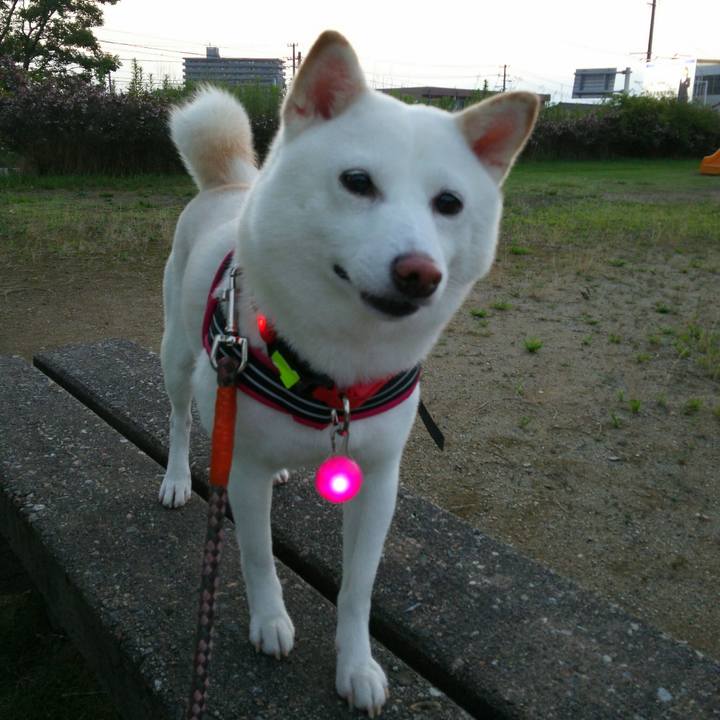 47ac7699 3a7d 45e2 a812 f13c7b7e2c74 1563964747201