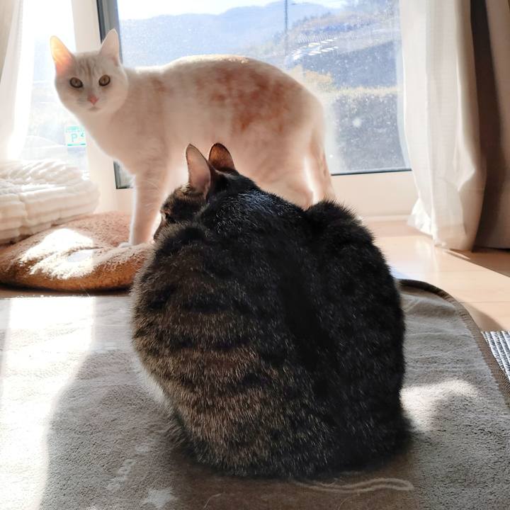 47ad59ae 557a 4ec8 b202 c34530e30c68 1668745257025