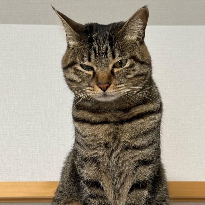 47ad741e 2713 4eff 9dc5 69d960d7c9f1 1768958375871