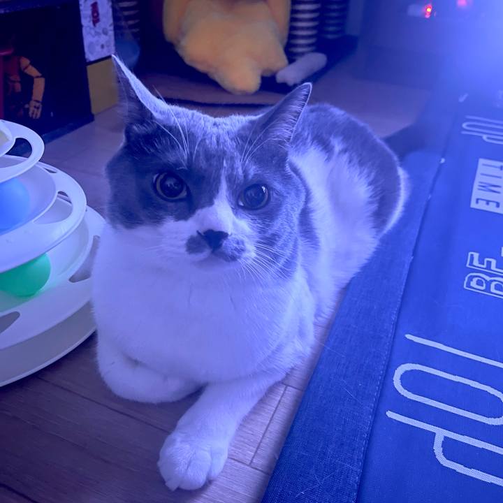 47adce66 f864 42d7 bc06 d3a98f07dc41 1692030108589