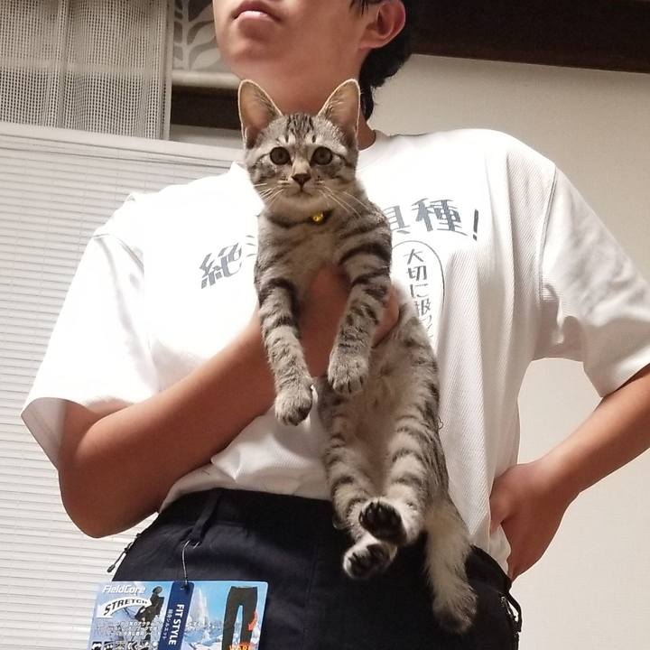 47adcefc 8d04 4dd3 9780 336138a49df8 1666694927537