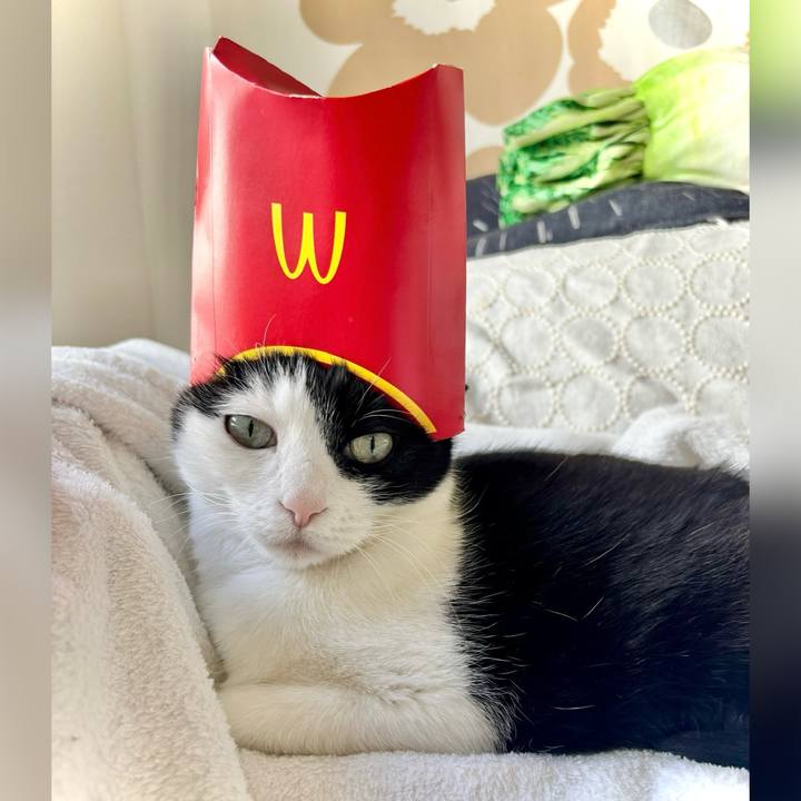 47ae3364 f5bc 4fd7 be0b 4ff75c680742 1739936059240