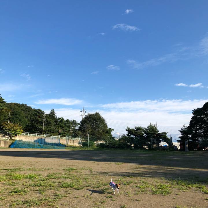 47ae494b bb3e 4d25 a78b 370ce02309de 1568368762518