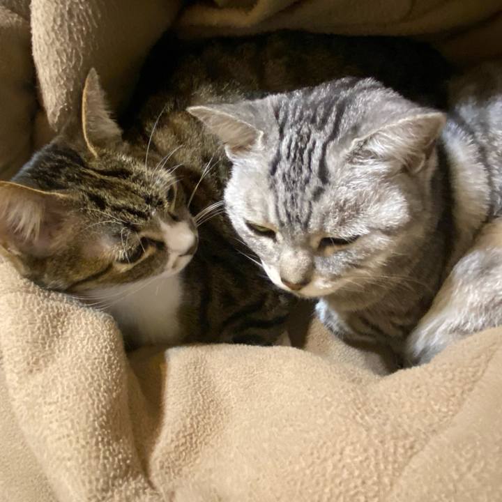 47ae5cbe be1c 4751 9ccc 5491ef8684f6 1638218341937