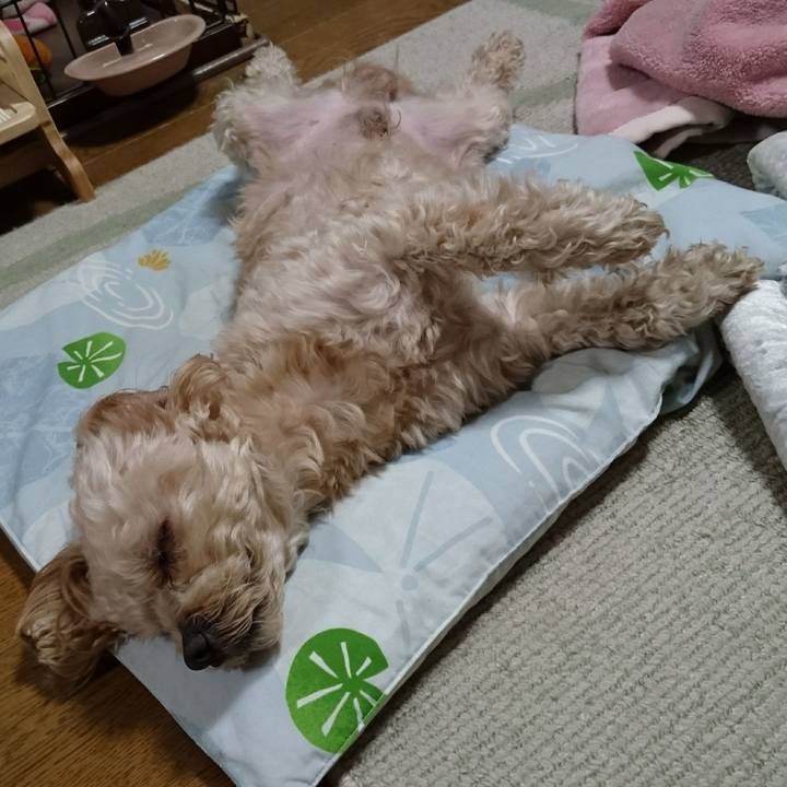 47ae6d79 2d51 48af 9620 678f2d9ffa27 1554734635689