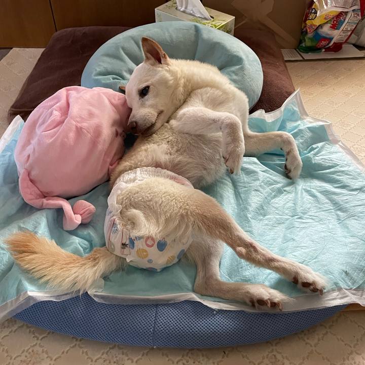 47aeb9b3 280b 40cb 832c 706175528c91 1666777140625