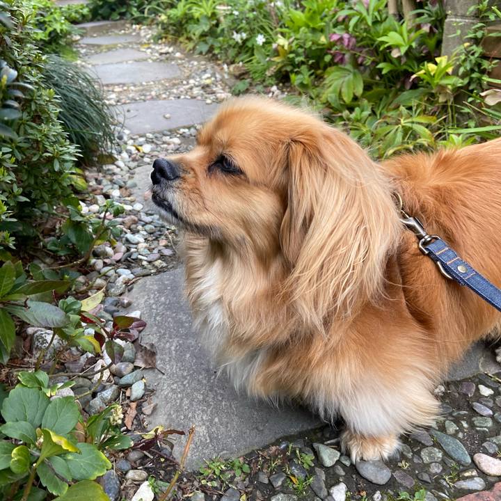 47aecc04 8945 4761 a2c5 591fc7e4d813 1587075532492