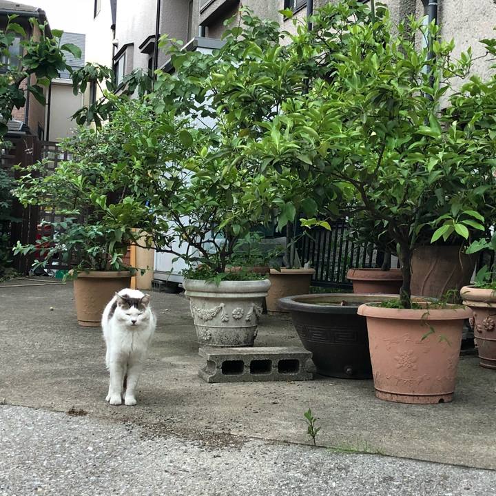 47aed0e2 572a 490a 9554 c838009bc86e 1527860372860