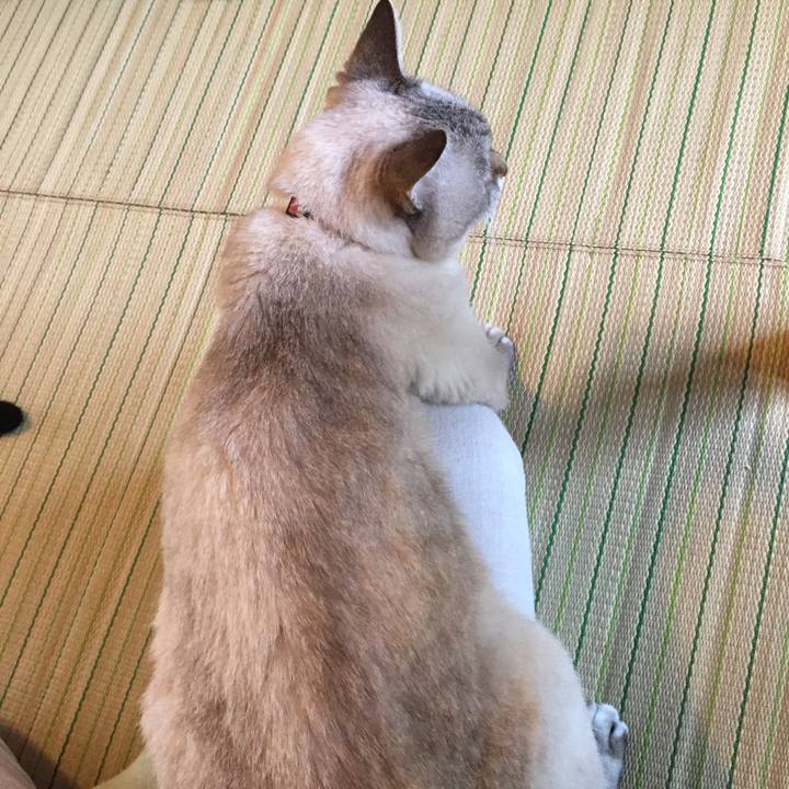 47aedec2 1e1c 455d 924e 9ca96fa6d8f6 1535321121662