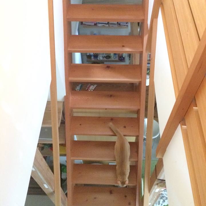 47aee2a7 b963 4161 a63a 61526b2a013b 1534287237062