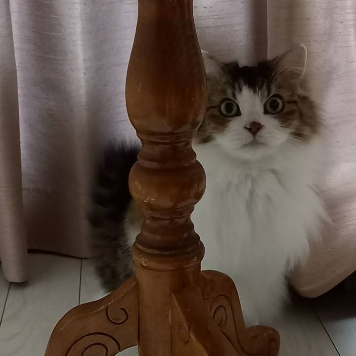 47af01cf 6d16 4619 9977 b9296fcfa1e8 1667045516019