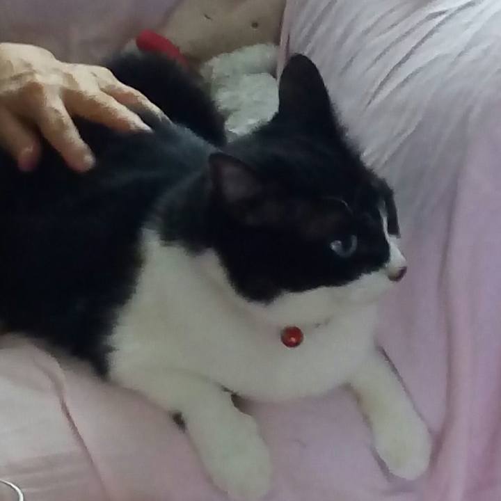 47af20ab 1759 4d9e a91c 2d0d3bfa007e 1534500760966