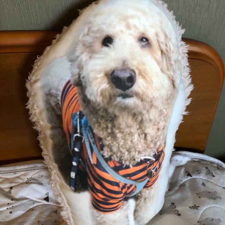 47af35d9 03b3 4cf4 bbde c923969d9f74 1617433070304