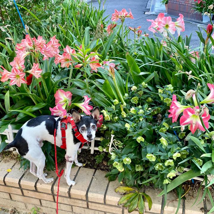 47af6248 ba67 4d76 843f 92cab4d391e7 1621892948370