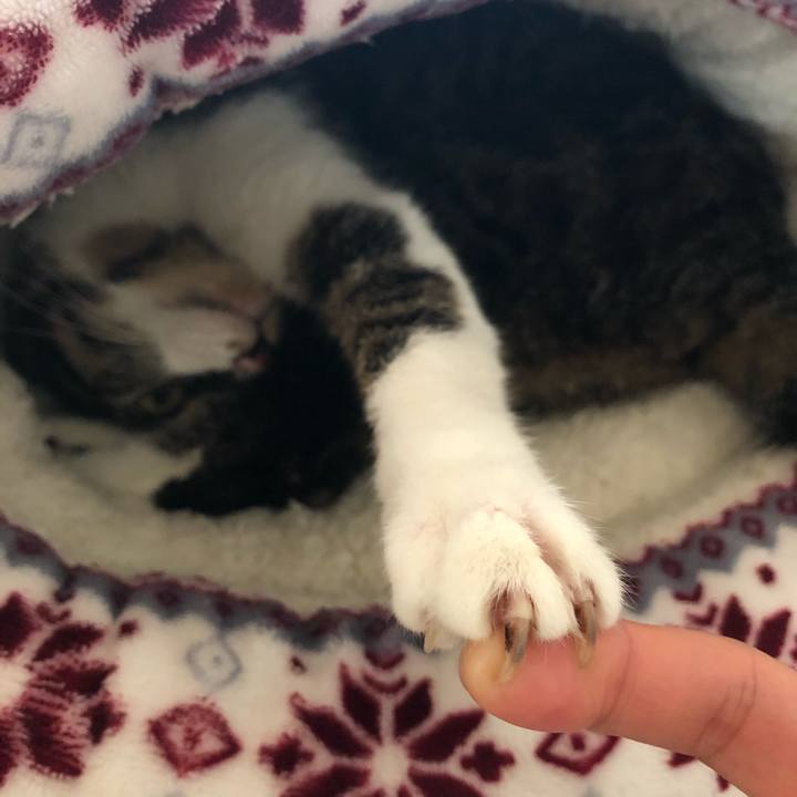 47af6a61 22e7 45d7 8336 001ef0173d73 1552590617872