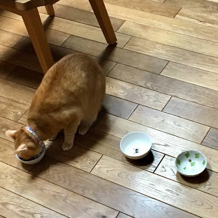 47af7e57 058d 4365 a61a b43cd057fde0 1546637856968