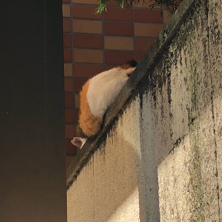 47af926f a914 4e98 b660 015ceabda1ae 1601364869412