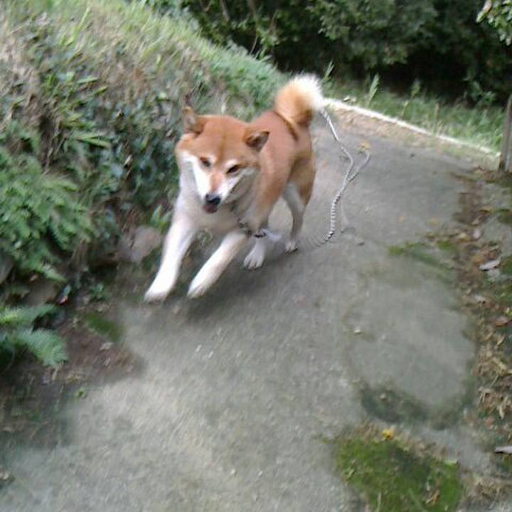 47b04e19 58d0 405b bee6 27f47414843f 1536658839644