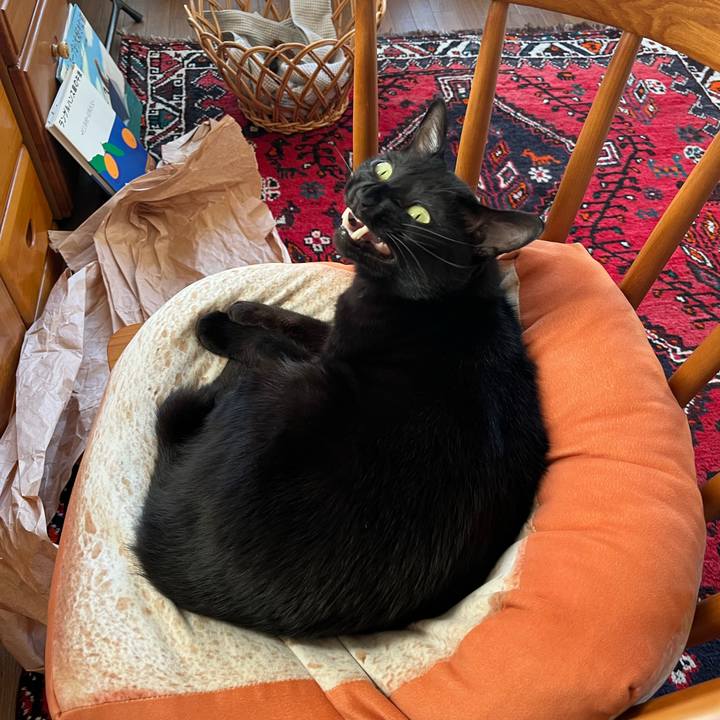 47b0861d fdc0 4105 8caf 07855b1d6f7f 1693529151857