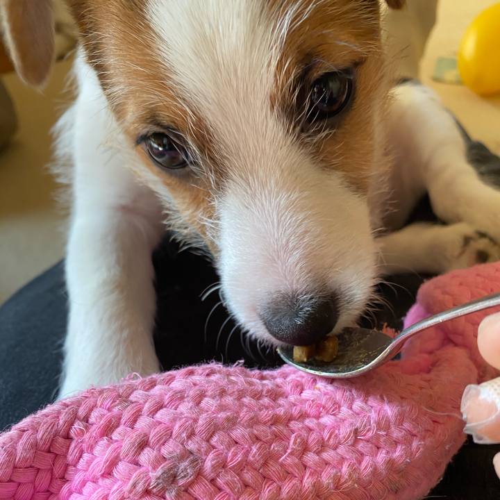 47b0be8f 1646 4b97 a1e9 3c1f0d7b22d0 1613016277020