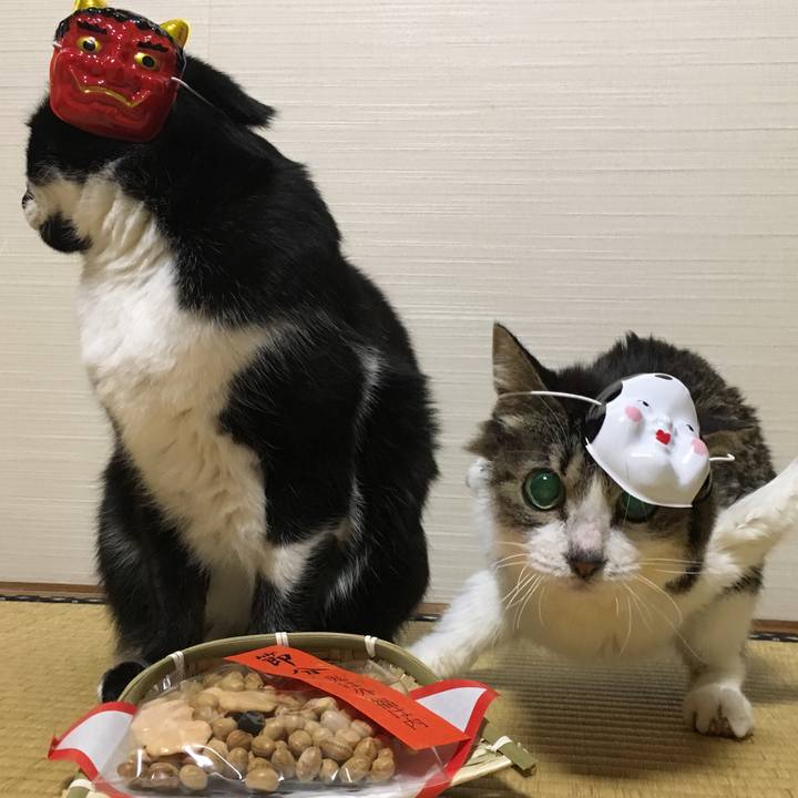 47b0e549 d9ec 4113 89e3 6c17a5f2bcf6 1612219704691