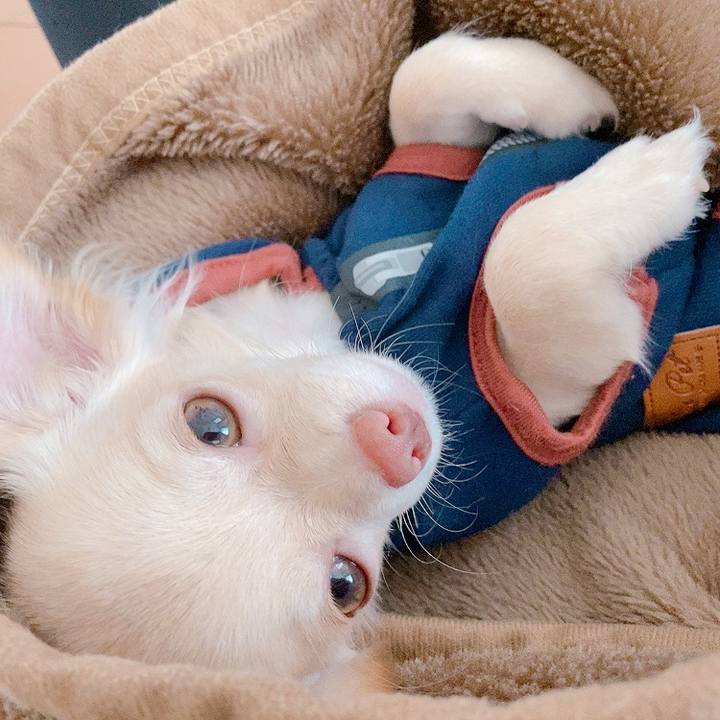 47b0e5dc bd9f 4d95 905d 03c2e842af47 1597541475259