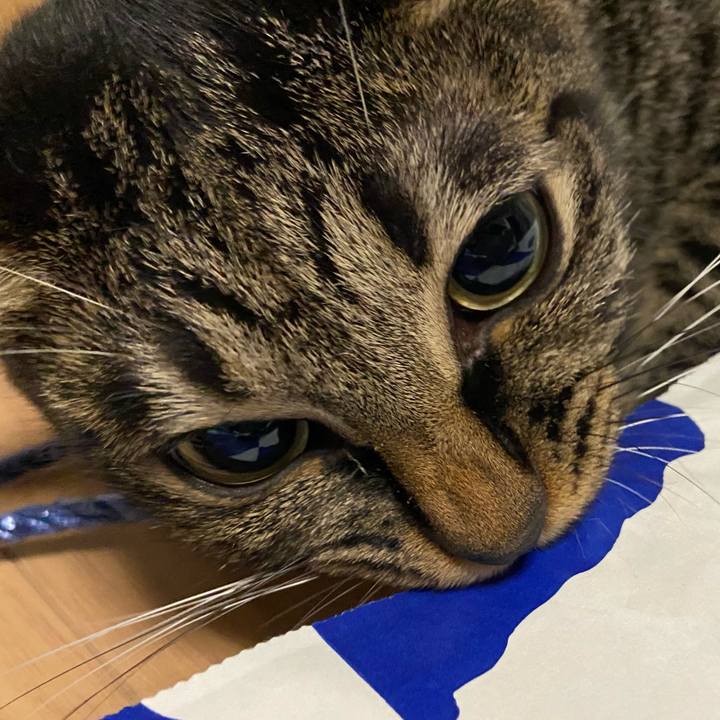 47b0e8f0 d045 40d6 b100 33c3d43e3cb3 1662120315735