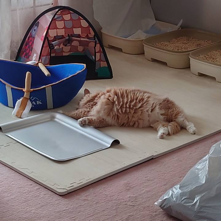 47b0f8d5 c7cd 4f2b b20c cc2631840d0b 1660536100627