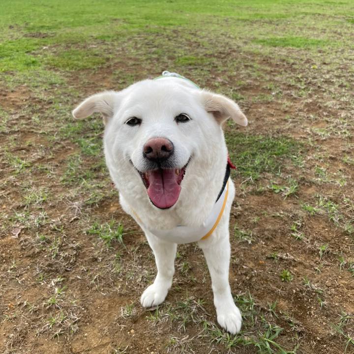 47b10a50 d5c0 4b0a 970d 405e2972e538 1650864817913