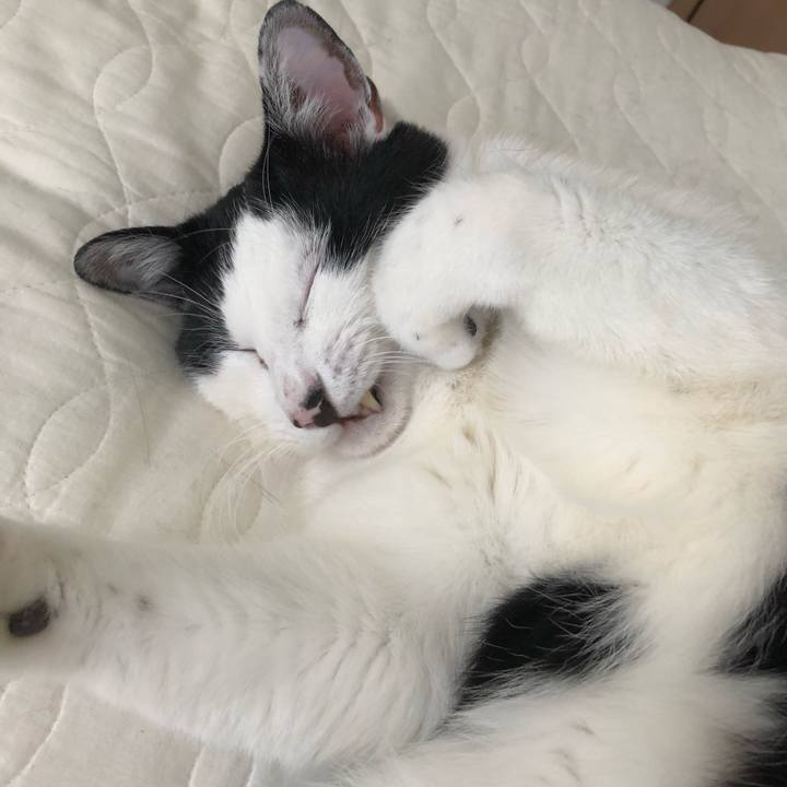 47b12a72 bcc7 4b0c b95e 2d68f46cb39d 1559177501263