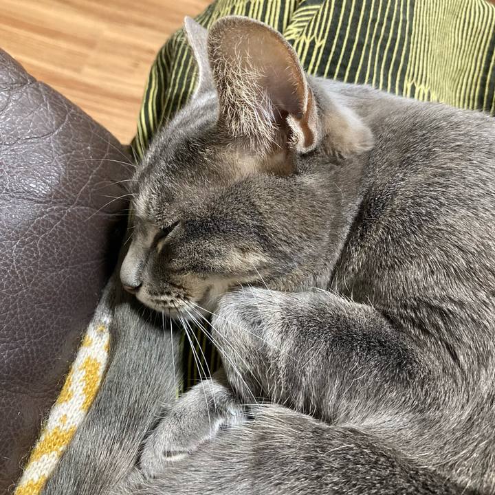 47b15297 6e79 4f1f bc26 46889676c321 1642339130107