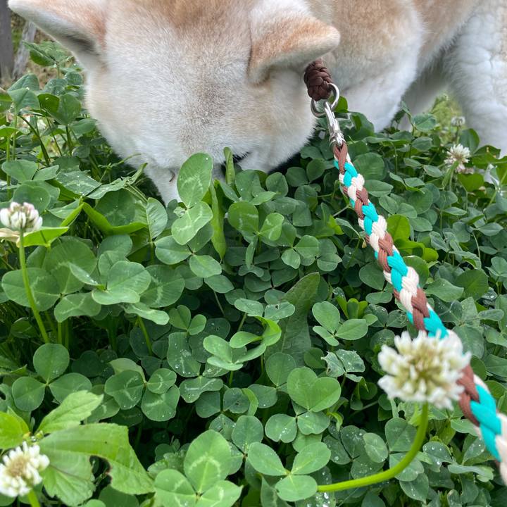 47b1563e a3f8 48cb a291 e47c3e12b5ad 1650584083353