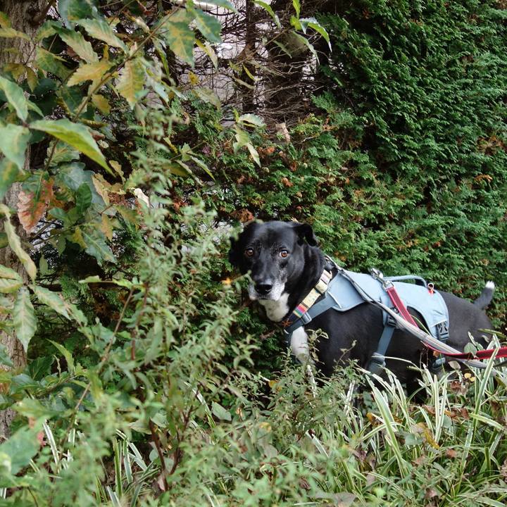 47b1677d 98e9 48be b2a9 fc8a1f85d4da 1731714421814