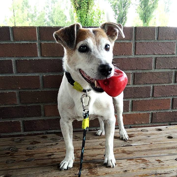 47b167d1 2755 4970 aba7 d702f2e60fcc 1569146712104