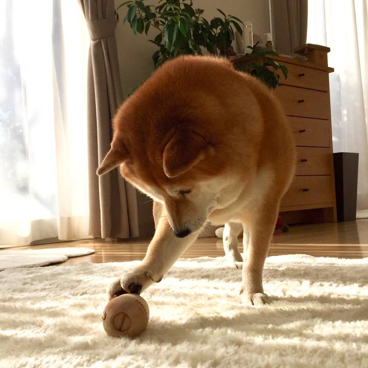 47b17d55 61be 4449 9e06 bfc8aa51542a 1549372491721