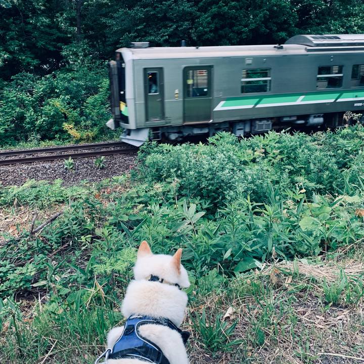 47b19ac4 6606 415f 922c 4164b1863d37 1624050838402