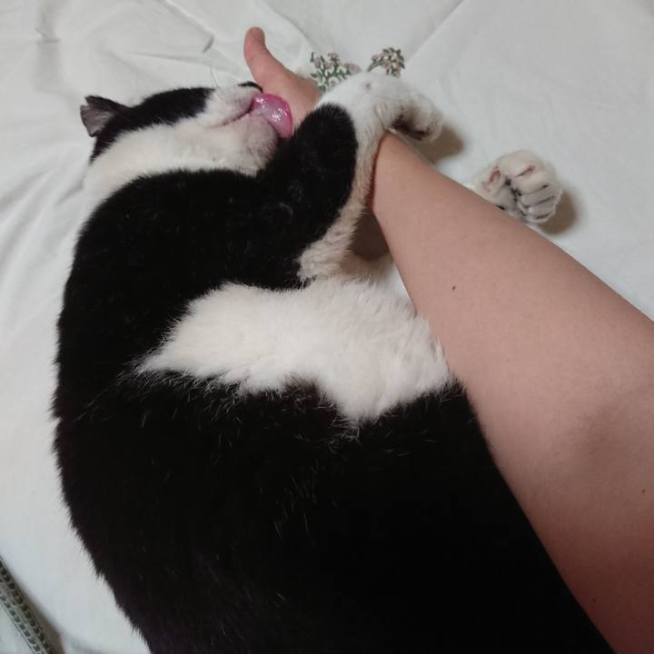 47b1d500 4155 43eb 9eed 2c79918748ab 1598949508576