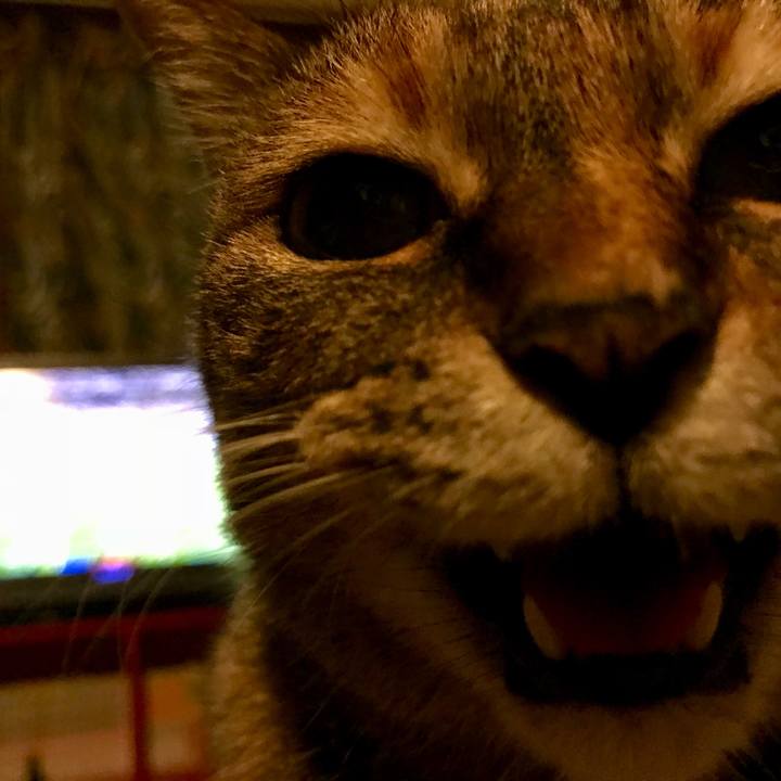 47b1f1e5 aceb 4c84 960b 88d87bf305c5 1531670729318