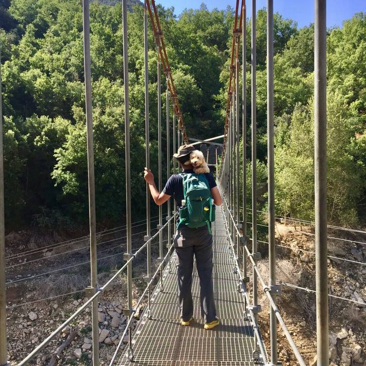 47b25721 f432 4064 9593 c18038dfbf3c 1573655090487