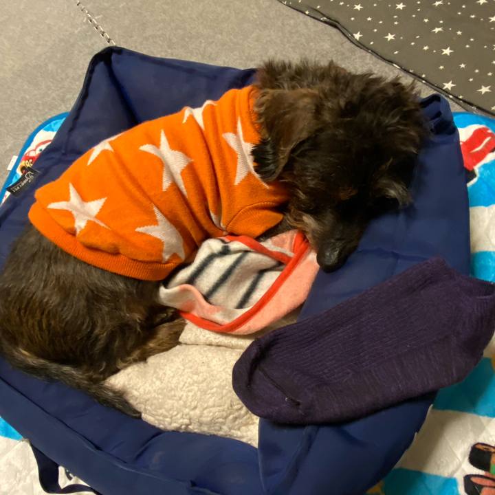 47b2d8d3 ed0d 4164 8426 0fab5cc4f0c3 1640364255353